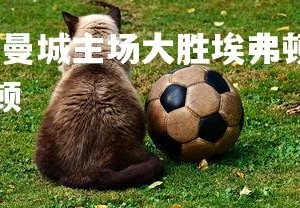 九游娱乐官方平台-曼城主场大胜埃弗顿，继续争夺联赛冠军，曼城对战埃弗顿